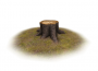 products:m31-web.png