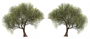products:tree.png